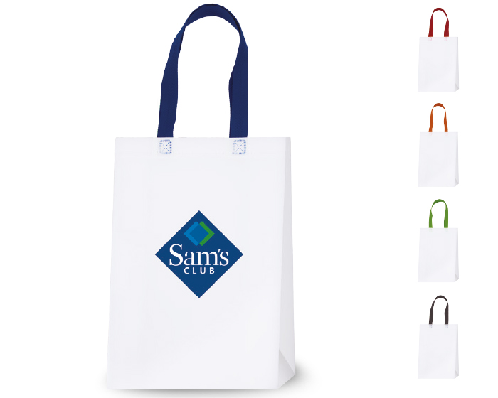 BOLSA ECOLOGICA DE ASA PLASTIFICADA C555